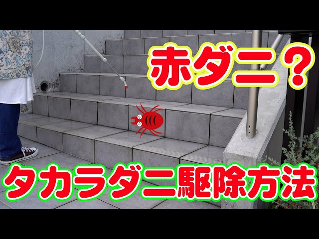 女性にも出来る害虫駆除 Litetube 女性にも出来る害虫駆除 Litetube