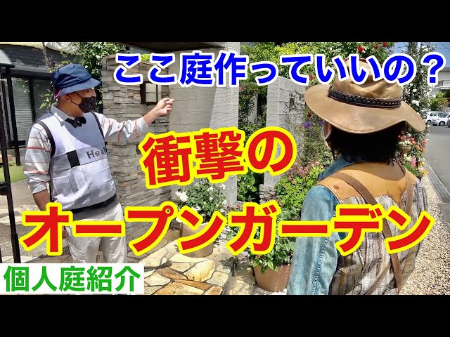 迷わず買えよ買えばわかるさ 店長が選ぶ お庭で景観がいいハーブランキング5を発表します 見た目がすべて 感動するハーブを教えます Japan Garden Herbs Ranking Litetube 迷わず買えよ買えばわかるさ 店長が選ぶ お庭で景観がいいハーブランキング5を発表します 見た目がすべて 感動するハーブを教えます Japan Garden Herbs Ranking Litetube