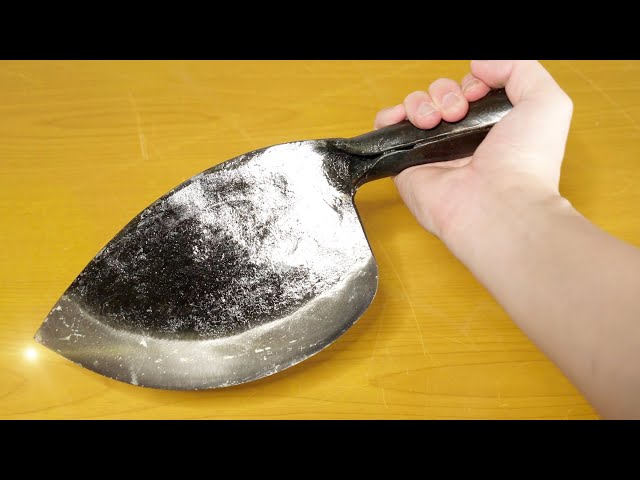 寄生虫 実はあまり知られていない ホッキ貝の闇 あばいてみた Litetube 寄生虫 実はあまり知られていない ホッキ貝の闇 あばいてみた Litetube