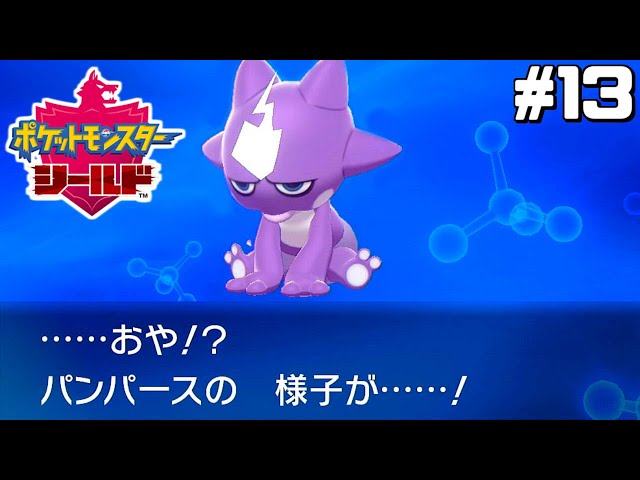 なんだこの生き物は はじめてのポケモン剣盾 15 Litetube