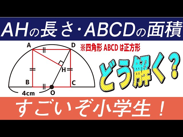 面白い算数問題 中学受験 中学入試 算数 解説 成蹊中学 平面図形 Litetube