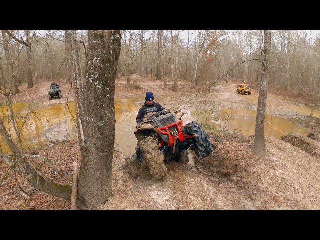 Swamp Ass Litetube