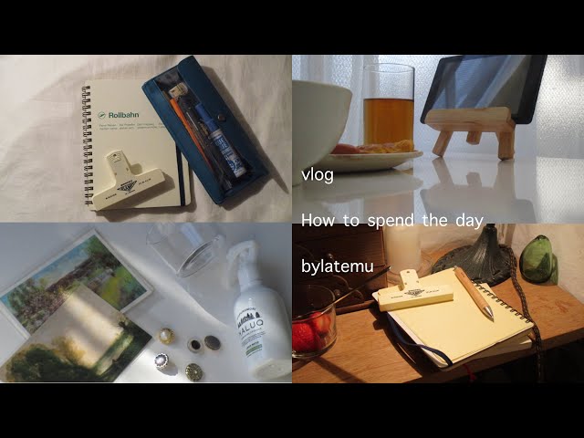 サボり常習犯の学校サボった2日間の過ごし方 おうち時間のプロ Litetube