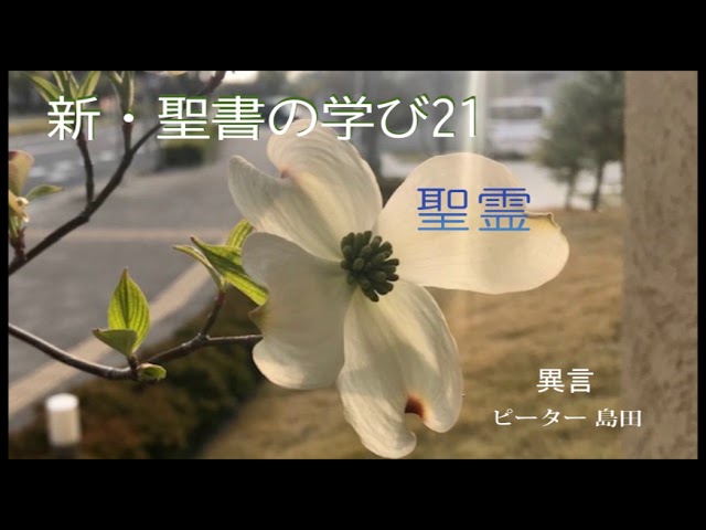 新 聖書の学び 21 聖霊 異言 ピーター島田 子羊の群れキリスト教会 Litetube 新 聖書の学び 21 聖霊 異言 ピーター島田 子羊の群れキリスト教会 Litetube