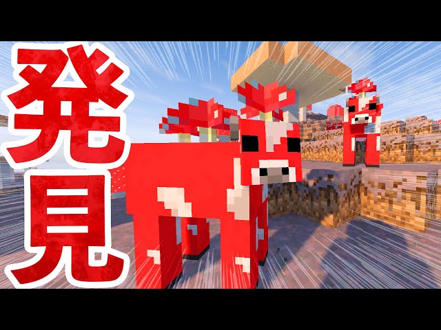 狼とミツバチを拠点の仲間にするぞ マインクラフト マイクラ実況 26 Litetube