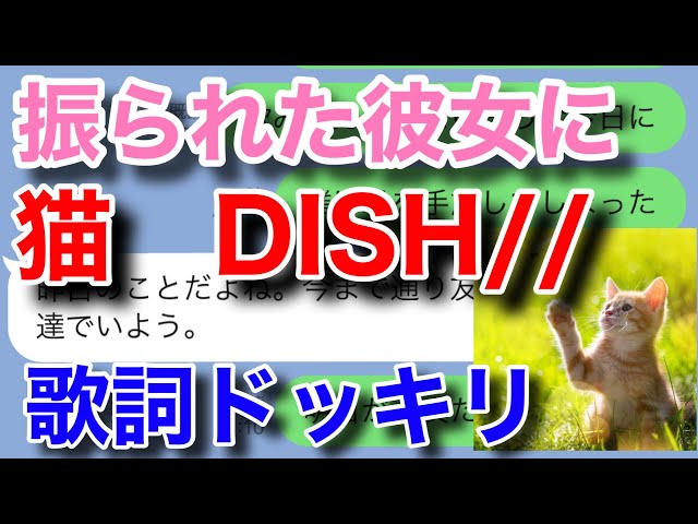 ピヨルカ Litetube