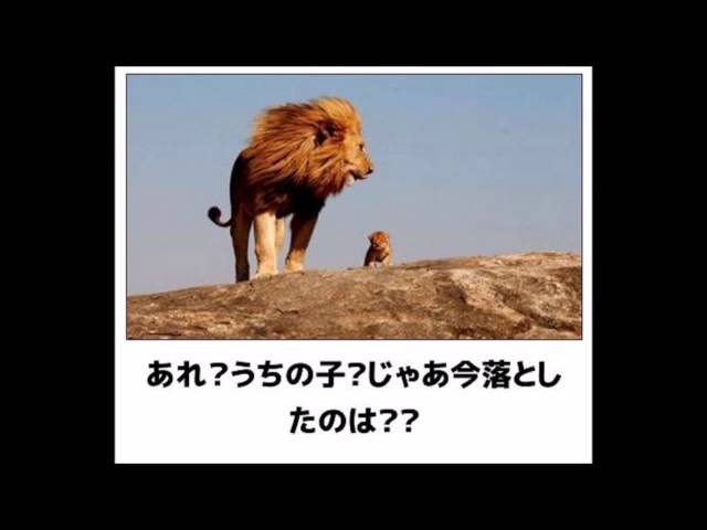 ボケて 最新殿堂入り Bokete 腹筋崩壊のおもしろ画像 2chで話題の傑作集 まとめ 13 Litetube ボケて 最新殿堂入り Bokete 腹筋崩壊のおもしろ画像 2chで話題の傑作集 まとめ 13 Litetube