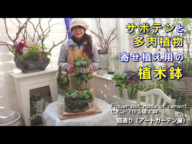 多肉植物 寄せ植え作り セダム愛 セダム映え Succulentplant 暮らし 趣味 癒し Litetube