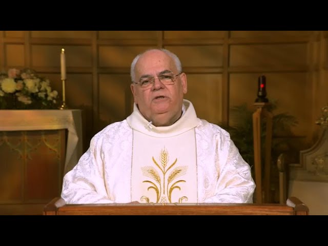 Catholic Mass Today | Daily TV Mass, Friday July 1, 2022