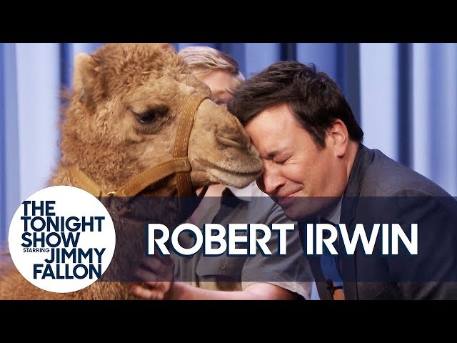 Robert Irwin's Baby Camel Kisses Jimmy on the Lips
