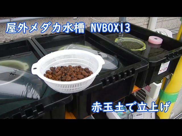 赤玉土 Litetube