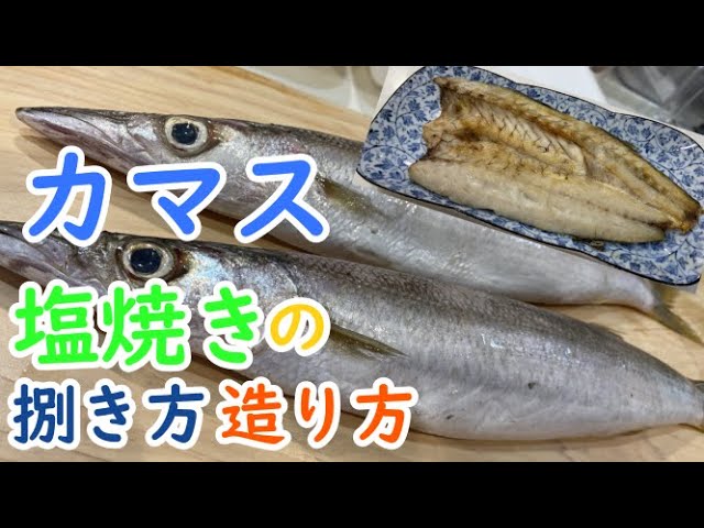 魳 カマス のさばき方と焼霜造りの刺身の作り方 Litetube