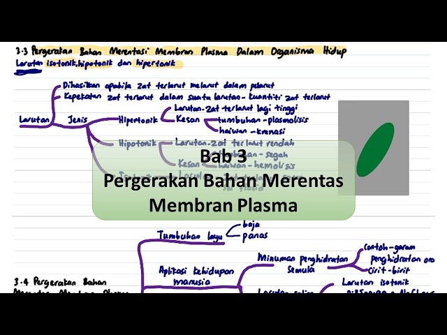 Biologi Spm T4 Bab 2 Biologi Sel Dan Organisasi Sel Litetube