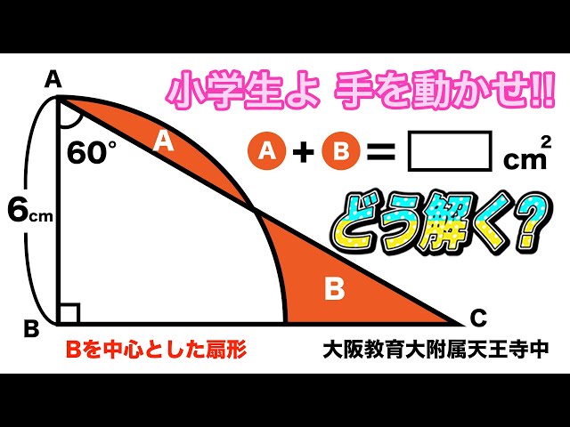 面白い算数問題 中学受験 中学入試 算数 解説 成蹊中学 平面図形 Litetube