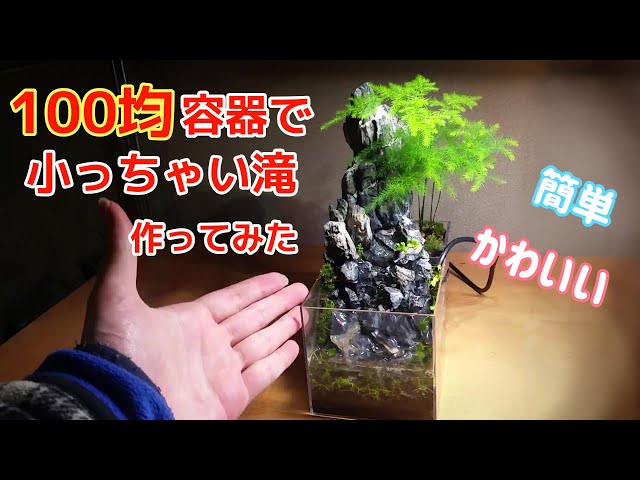 100均アイテムで苔テラリウムをつくる ダイソー編 How To Make A Moss Terrarium 22 Litetube