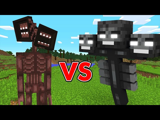 マインクラフトを最速でクリアする Litetube