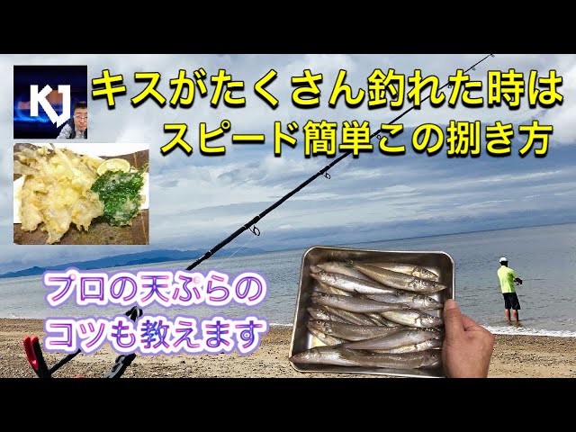 キスの捌き方 刺身編 簡単な皮引き Litetube キスの捌き方 刺身編 簡単な皮引き Litetube