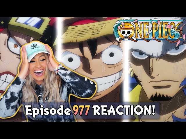 Roger Pirates Vs Whitebeard Pirates One Piece Episode 966 Reaction Review Litetube