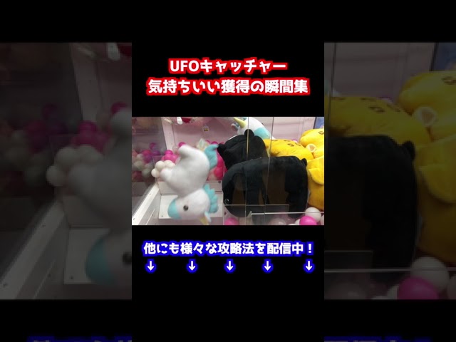 メダラブ Litetube メダラブ Litetube