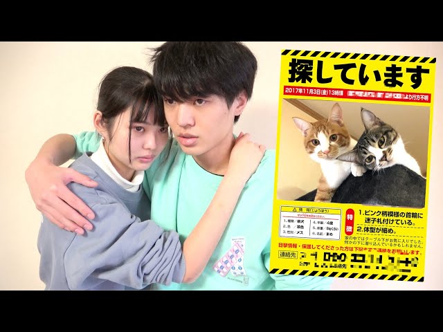 家で本物の巨大ワニを飼ったら妹母父が暴走。家族が増えました - LiteTube