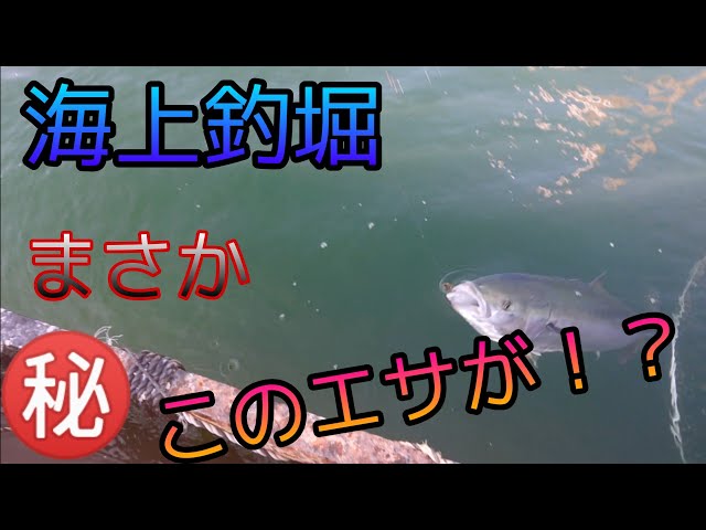 春の釣堀紀州に行ってみた Litetube