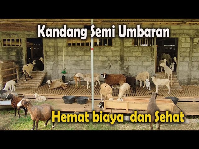 78 Farm Yogyakarta Litetube