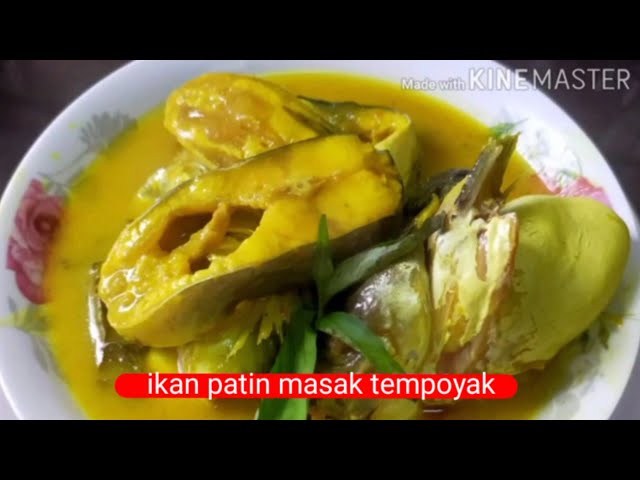 PATIN MASAK TEMPOYAK ORIGINAL RESEPI TEMERLOH MARI - LiteTube