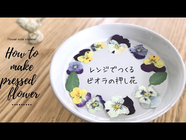 レンジで簡単押し花の作り方 ビオラの押し花 レジン素材作り Litetube レンジで簡単押し花の作り方 ビオラの押し花 レジン素材作り Litetube