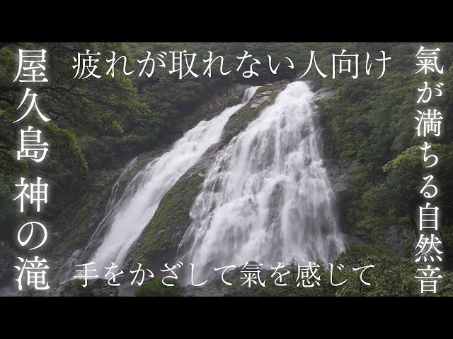 感じるスピリチュアルしゅうさんshusan Feel Spiritual Litetube 感じるスピリチュアルしゅうさんshusan Feel Spiritual Litetube