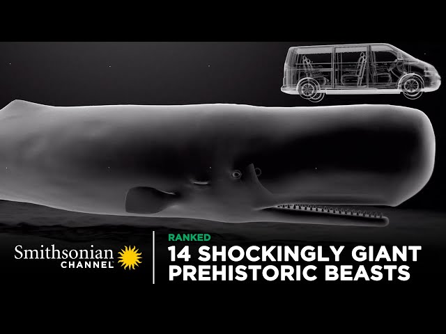 14 Shockingly Giant Prehistoric Beasts 🐋 Smithsonian Channel