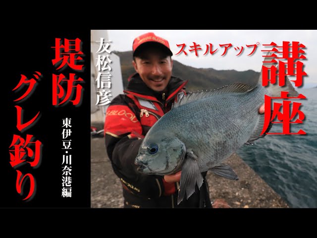 伊豆下田 メジナ釣り ミャク釣りでグレを狙う 9 地磯に挑戦 Litetube