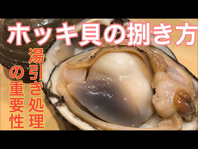 寄生虫 実はあまり知られていない ホッキ貝の闇 あばいてみた Litetube 寄生虫 実はあまり知られていない ホッキ貝の闇 あばいてみた Litetube