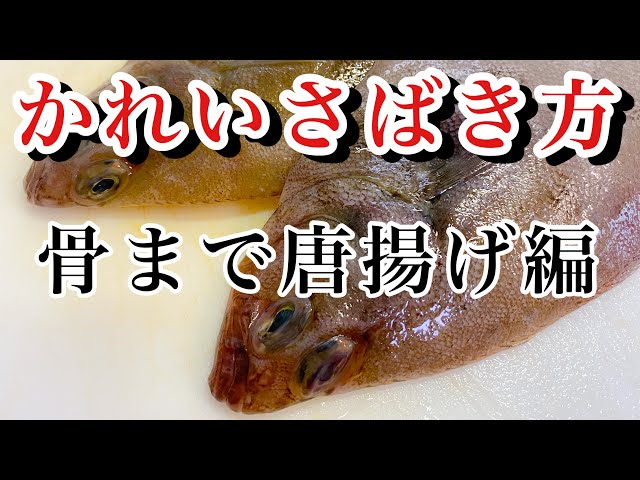 カレイのさばき方 唐揚げの作り方 How To Make Deep Fried Flounder How To Clean Flounder Litetube カレイのさばき方 唐揚げの作り方 How To Make Deep Fried Flounder How To Clean Flounder Litetube