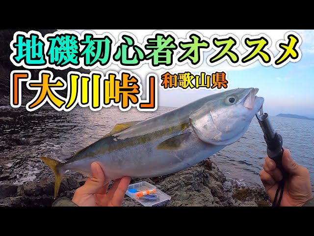 煙樹ヶ浜 サーフから青物連発 セットアッパーで が釣れた Litetube 煙樹ヶ浜 サーフから青物連発 セットアッパーで が釣れた Litetube