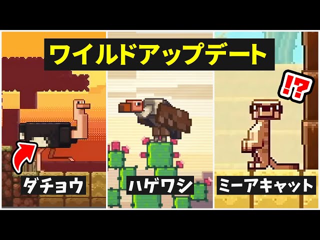 マミムンぶーぶー Hsstudio Litetube