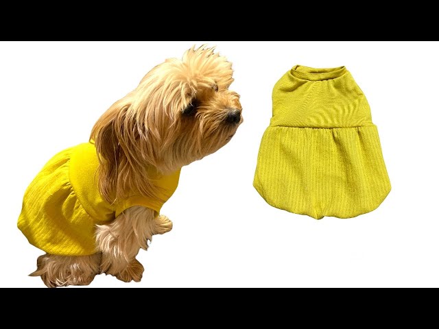 型紙あり 丸襟ワンピース 犬服ハンドメイド 型紙アレンジ Litetube
