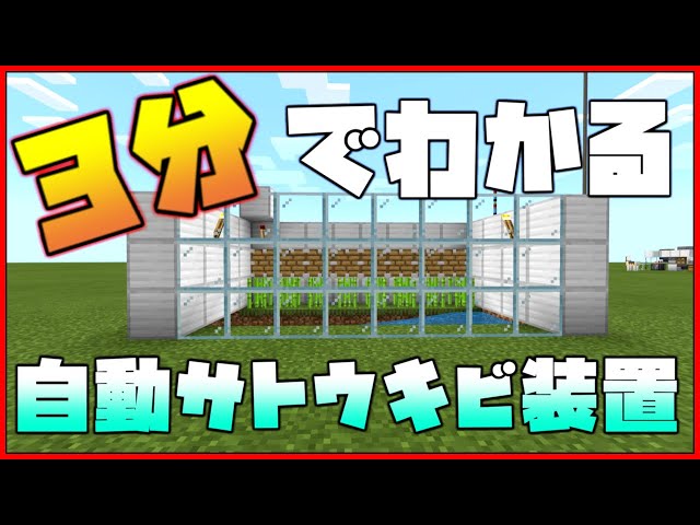 マイクラ統合版 毎時3 000個 過去最低コストの10連式高速サトウキビ収穫機の作り方 Pe Ps4 Switch Xbox Win10 Ver1 16 Litetube マイクラ統合版 毎時3 000個 過去最低コストの10連式高速サトウキビ収穫機の作り方 Pe Ps4 Switch Xbox Win10 Ver1 16 Litetube