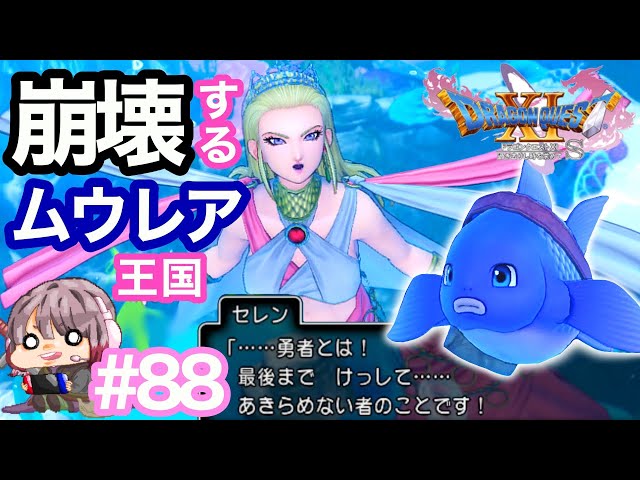 モモ Litetube モモ Litetube