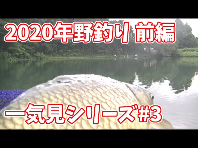 冬のヘラブナを底釣りで狙う 大物ゲットなるか Litetube