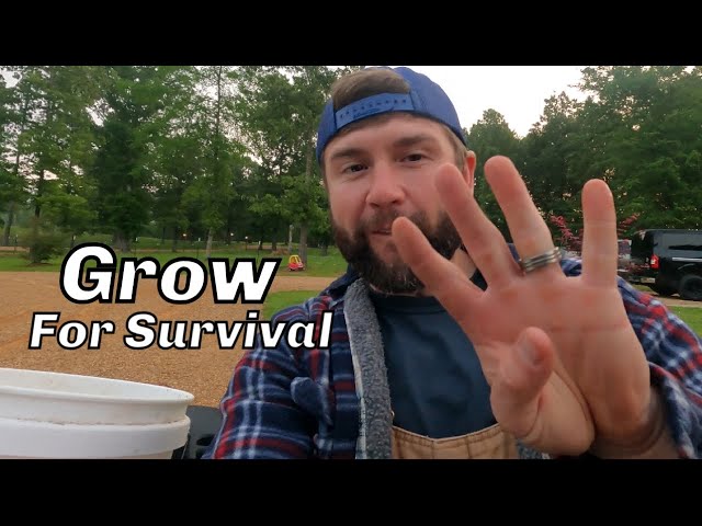 Top 4 Vegetables That You Should ALWAYS Grow In A Garden (Preparing For Worldwide Food Shortage)