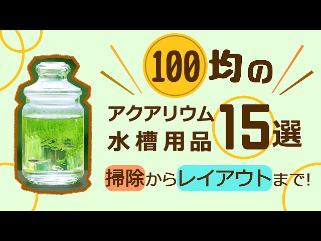 ウォーターサーバー ボトルアクアリウム 作り方 水換え超簡単 ダイソーアイテムでベタ メダカ用ボトルアクアリウム作成 How To Make A Bottle Aquarium Litetube ウォーターサーバー ボトルアクアリウム 作り方 水換え超簡単 ダイソーアイテムでベタ メダカ用ボトルアクアリウム作成 How To Make A Bottle Aquarium Litetube