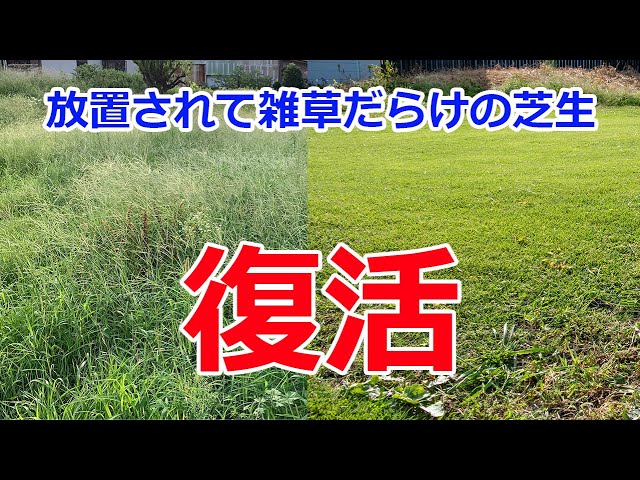芝刈りルールを フル無視 軸刈り の対処法もお伝えします Litetube
