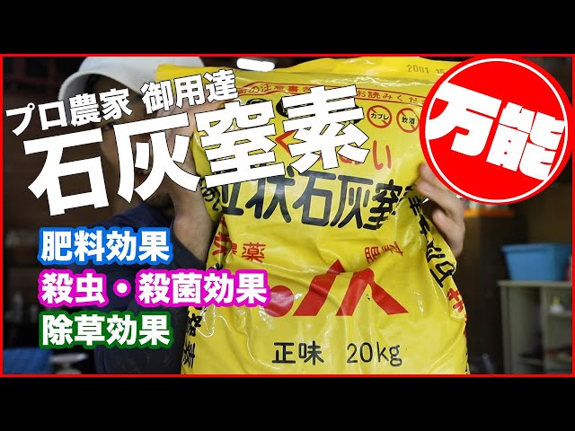 超 簡単な除草管理 意外と知らない雑草を生やさないコツ タネのハシモト Litetube 超 簡単な除草管理 意外と知らない雑草を生やさないコツ タネのハシモト Litetube