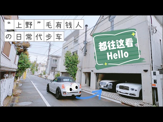 日本vlog 31 東京都世田谷区上野毛的富人们开什么车 Litetube