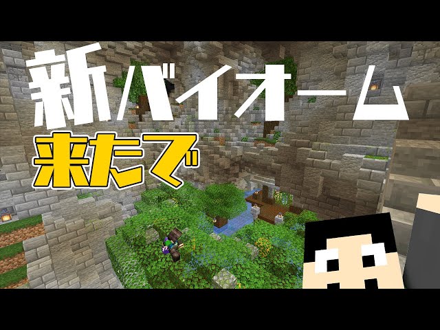 最新版レール無限のおかげで鉄不足解決 マイクラjava1 16 5 94 Litetube 最新版レール無限のおかげで鉄不足解決 マイクラjava1 16 5 94 Litetube