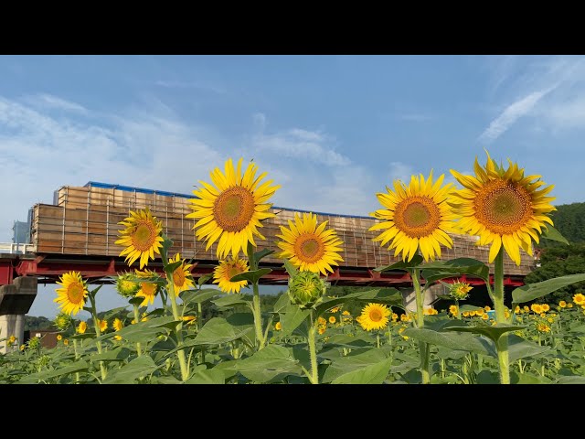 瀬戸内海チャンネル Litetube