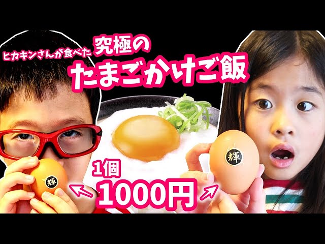 卵1個10円 日本一高い卵かけごはん作ったらヤバすぎたw Tkg Litetube
