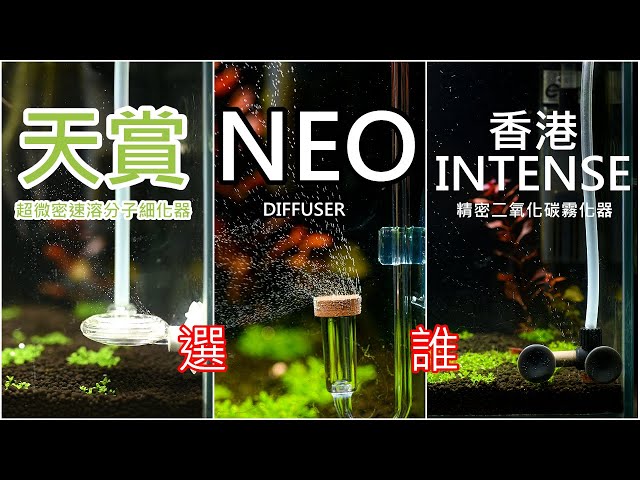 Diy成本只用10元的co2缸外擴散器 Co2利用效率最大化 Diy Co2 Diffusion Dissolver Improve Co2 Utilization Efficiency Litetube Diy成本只用10元的co2缸外擴散器 Co2利用效率最大化 Diy Co2 Diffusion Dissolver Improve Co2 Utilization Efficiency Litetube