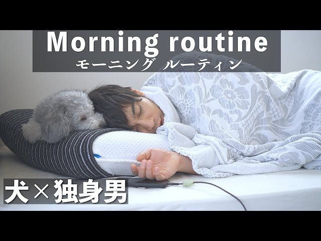 犬と28歳独身男性の一軒家二人暮らしのモーニングルーティン トイプードル Litetube 犬と28歳独身男性の一軒家二人暮らしのモーニングルーティン トイプードル Litetube