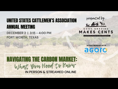 Navigating The Carbon Market What You Need To Know